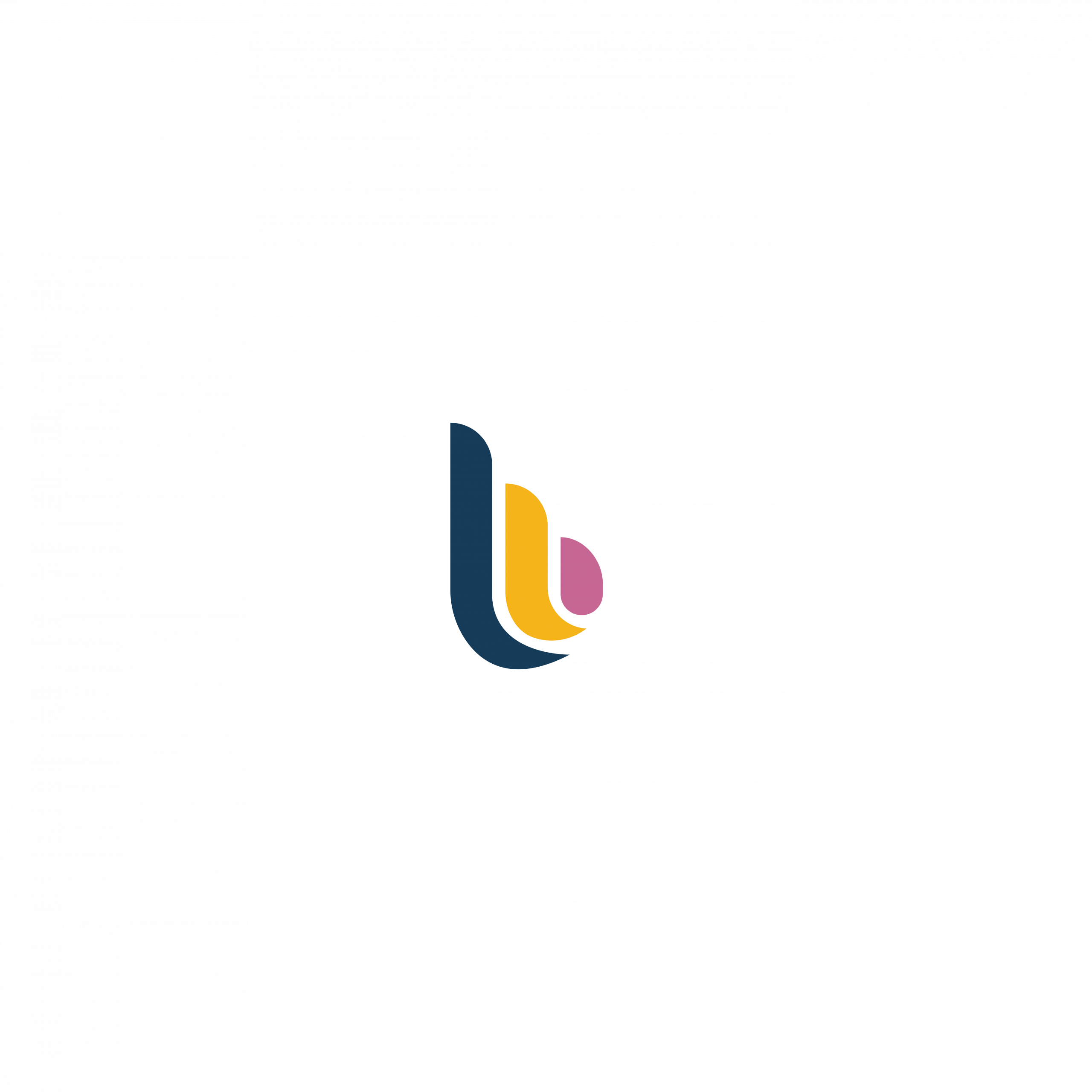 LB Consulting